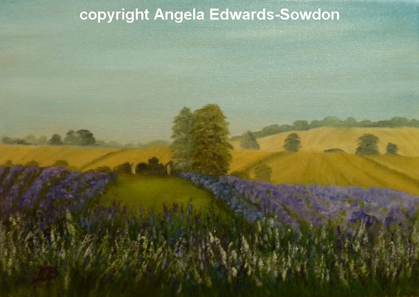 Lavender Farm Shropshire - Telford Artist